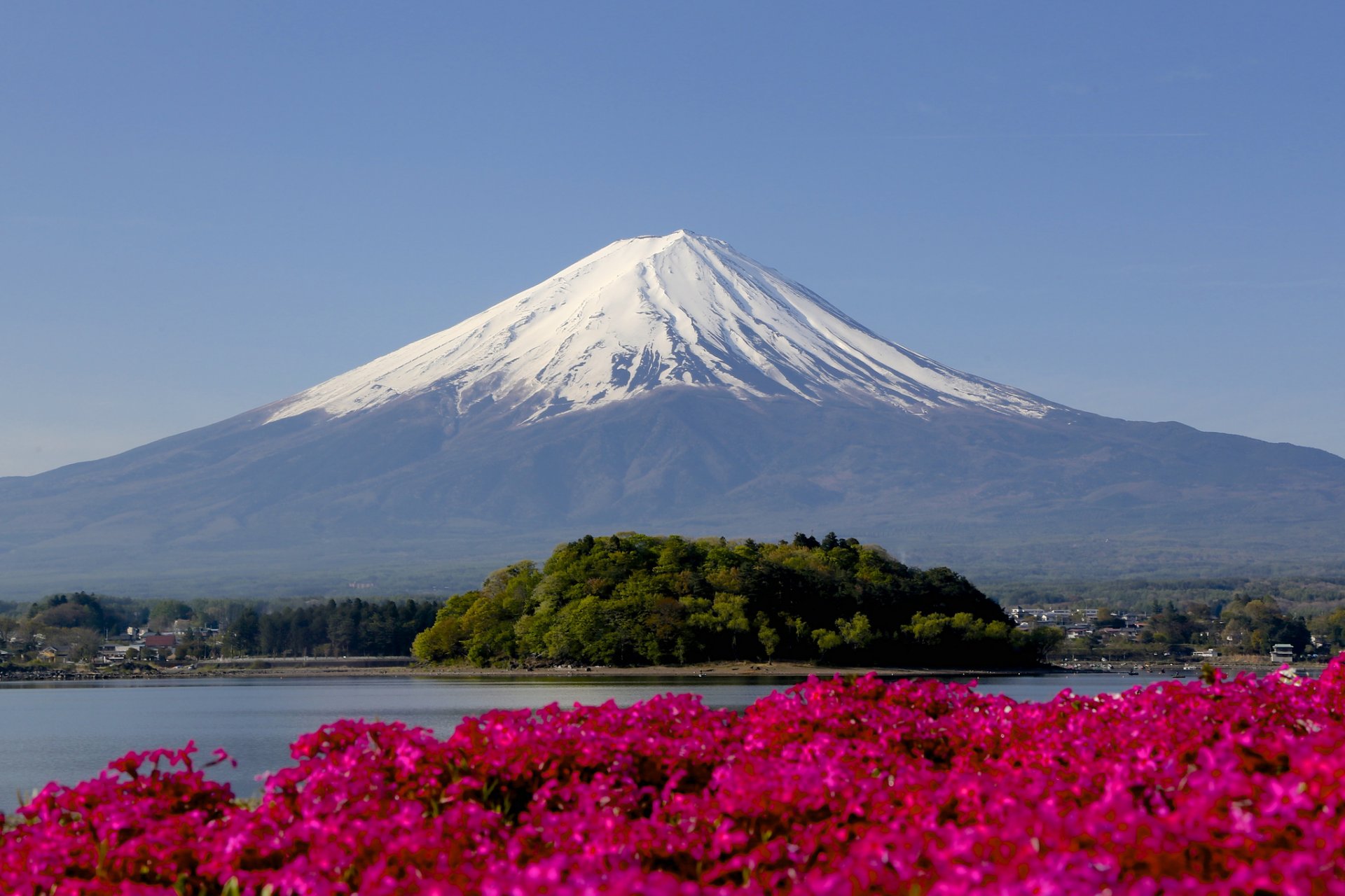 montagna picco neve fiori messa a fuoco fujiyama