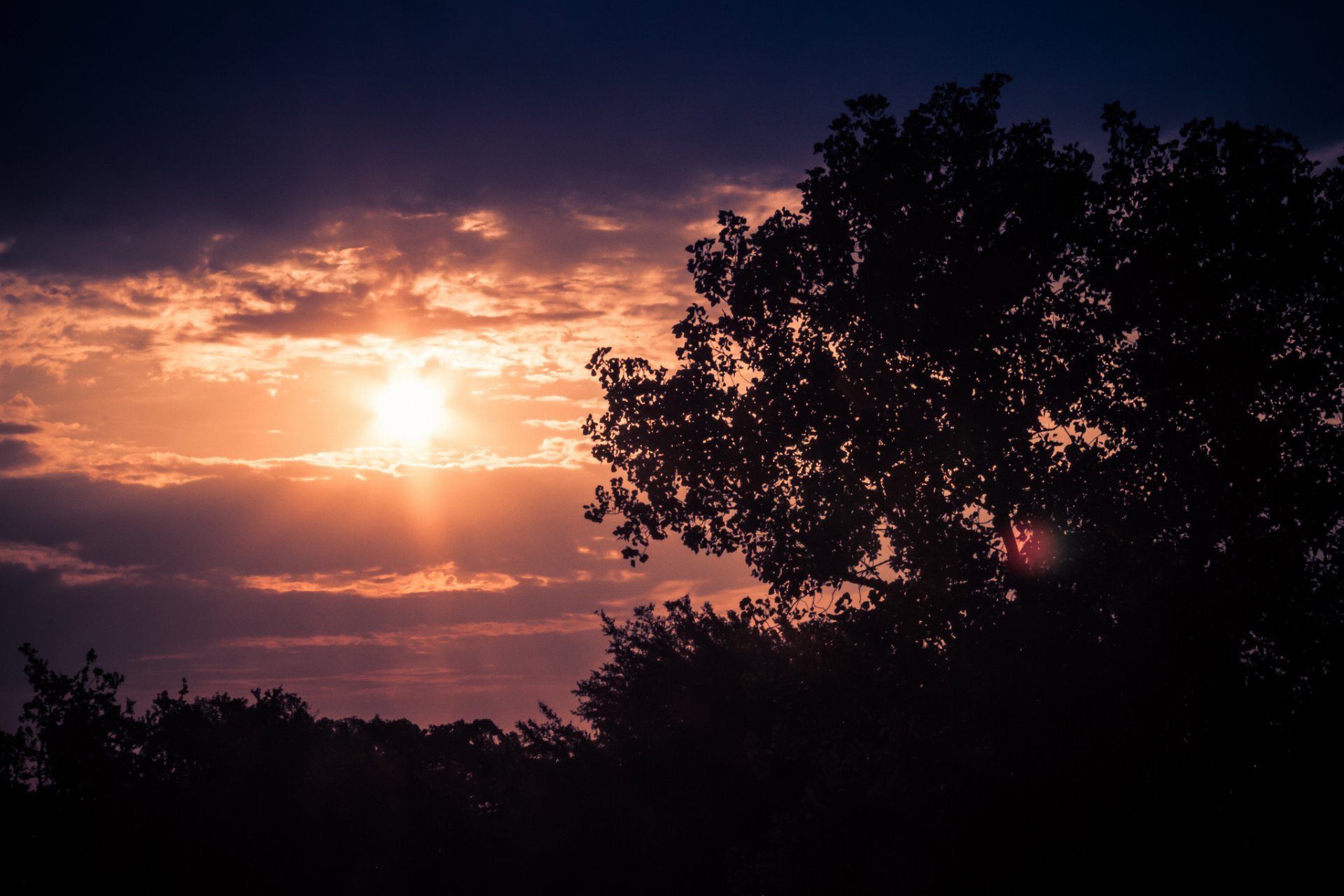 bäume sonne wolken abend dämmerung