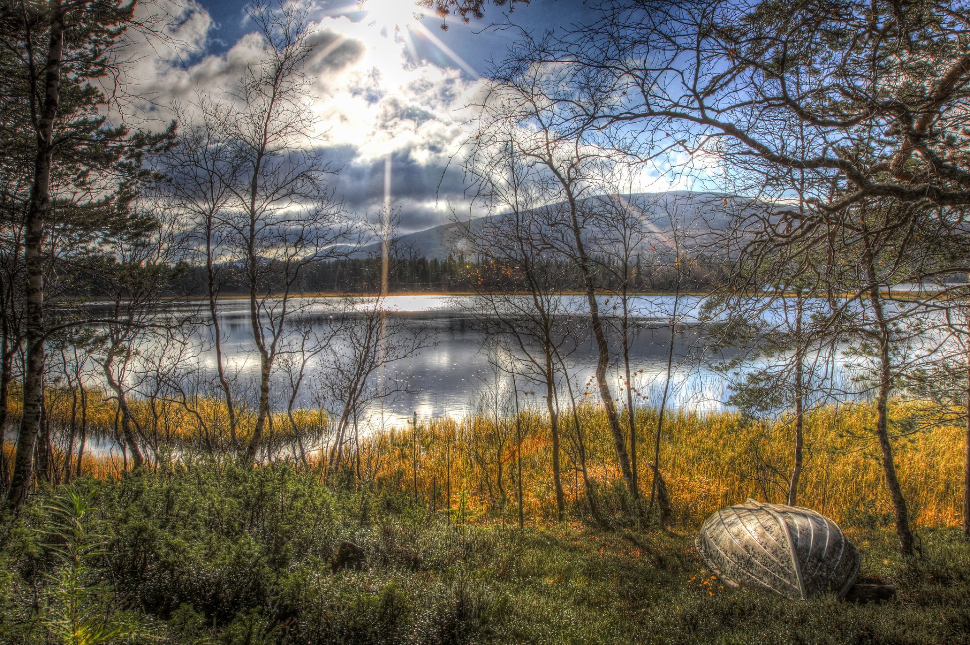 autunno lago alberi barca sole paesaggio