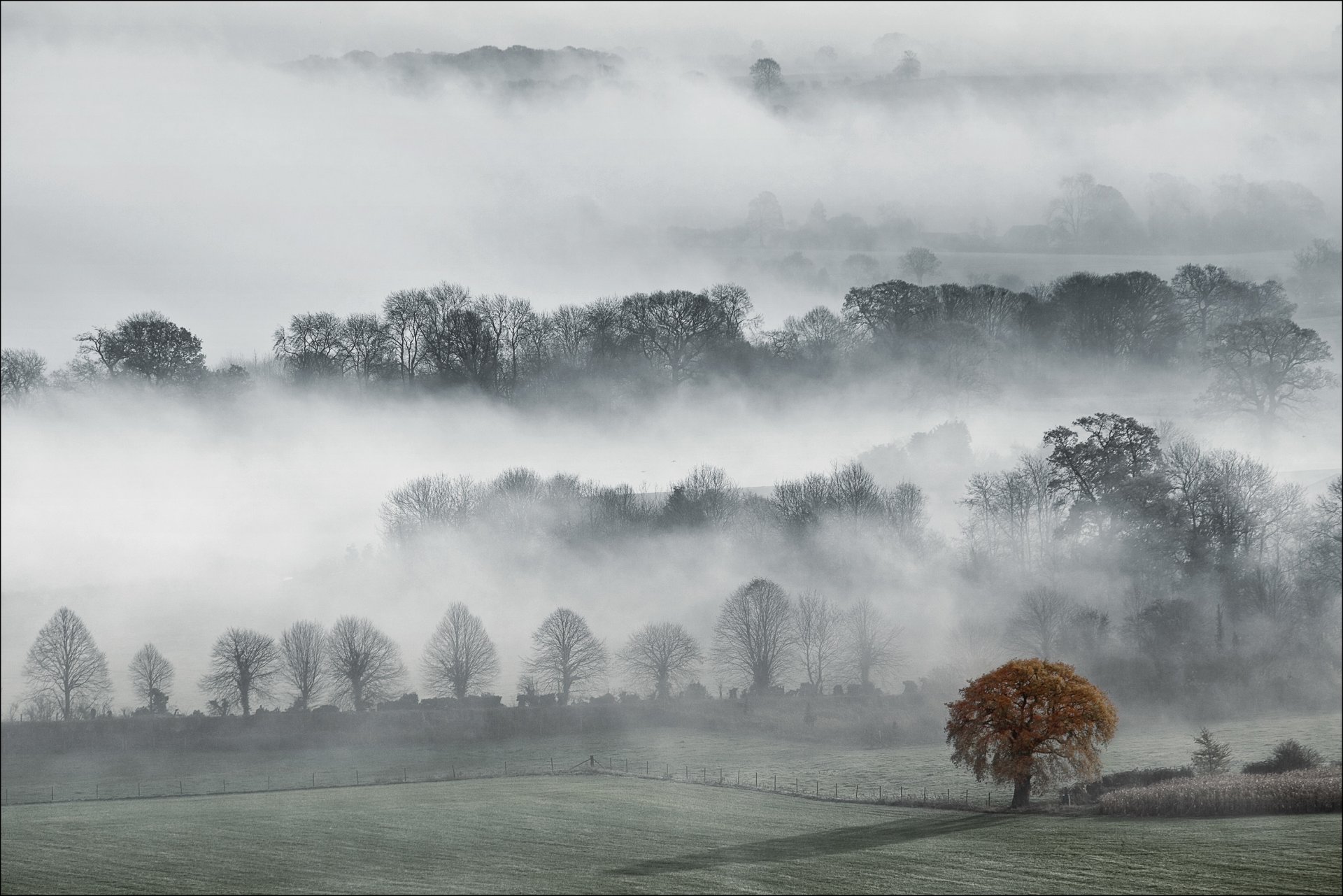 inglaterra wiltshire condado peusey valley otoño niebla