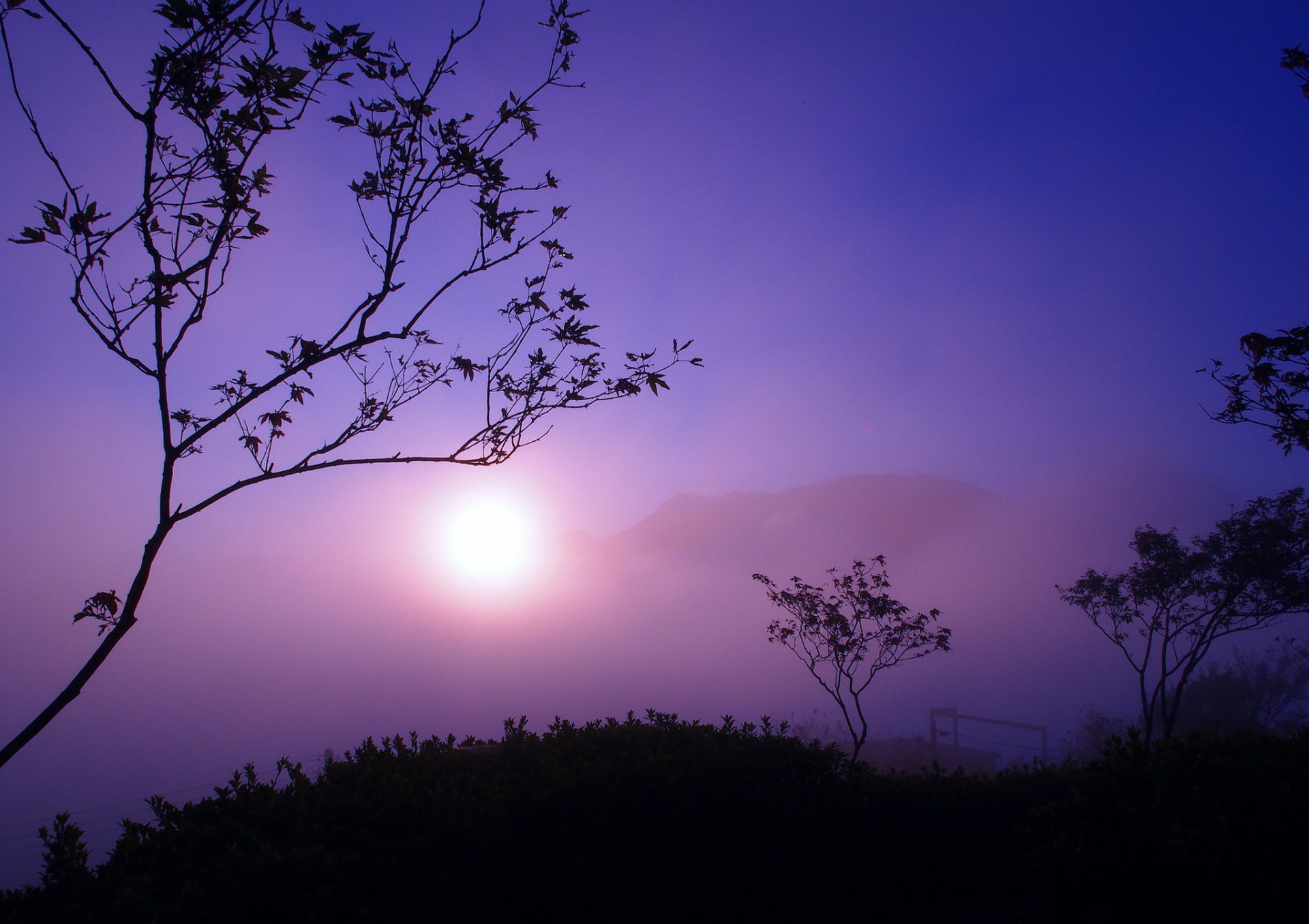 montagnes arbres soleil brouillard crépuscule silhouettes