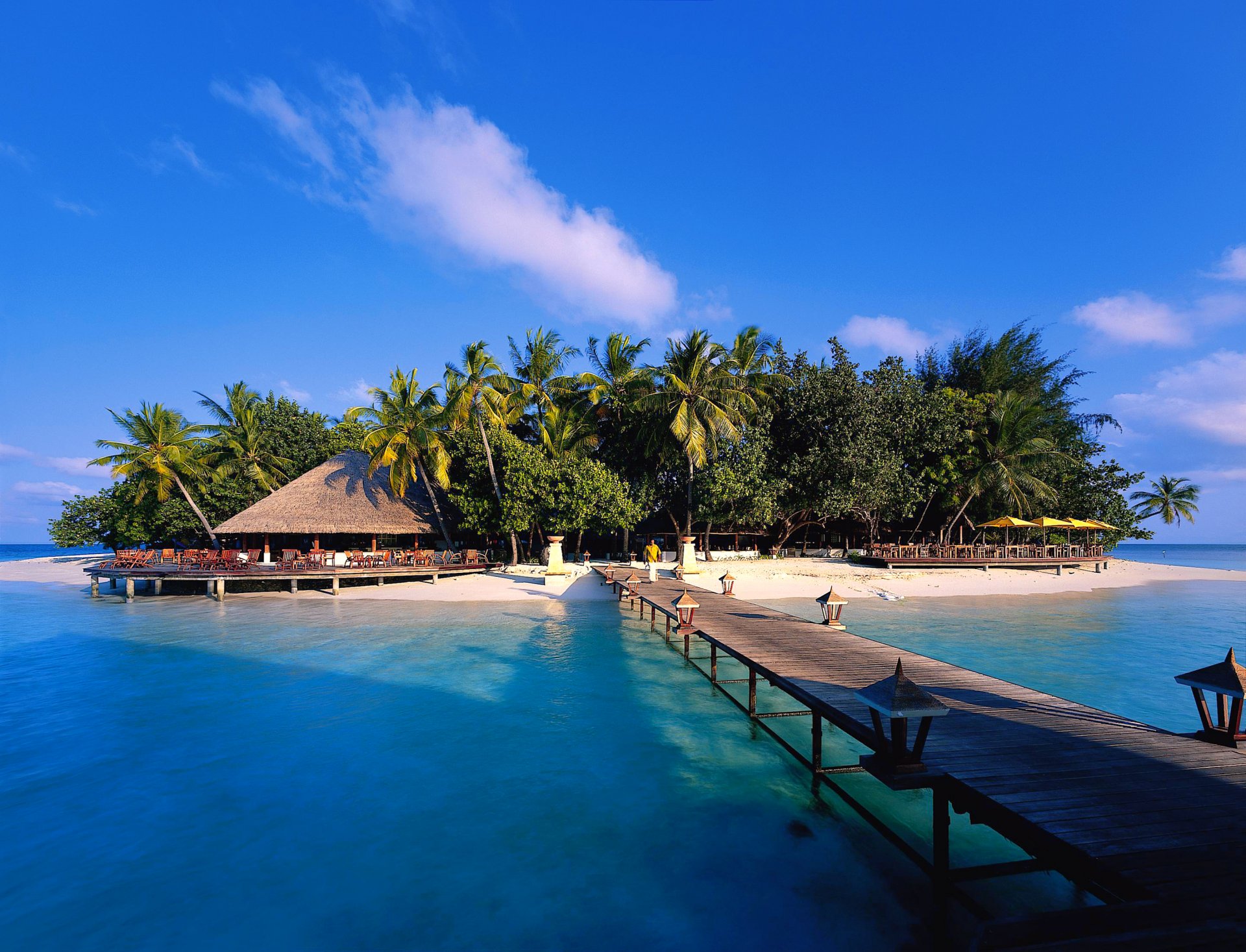 island bridge palm sky sea bungalow the maldives light beach sand