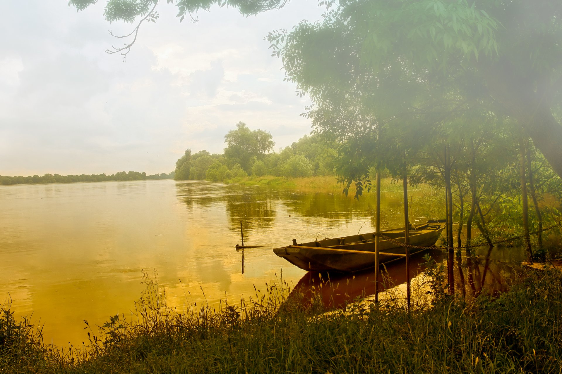 wald see boot nebel