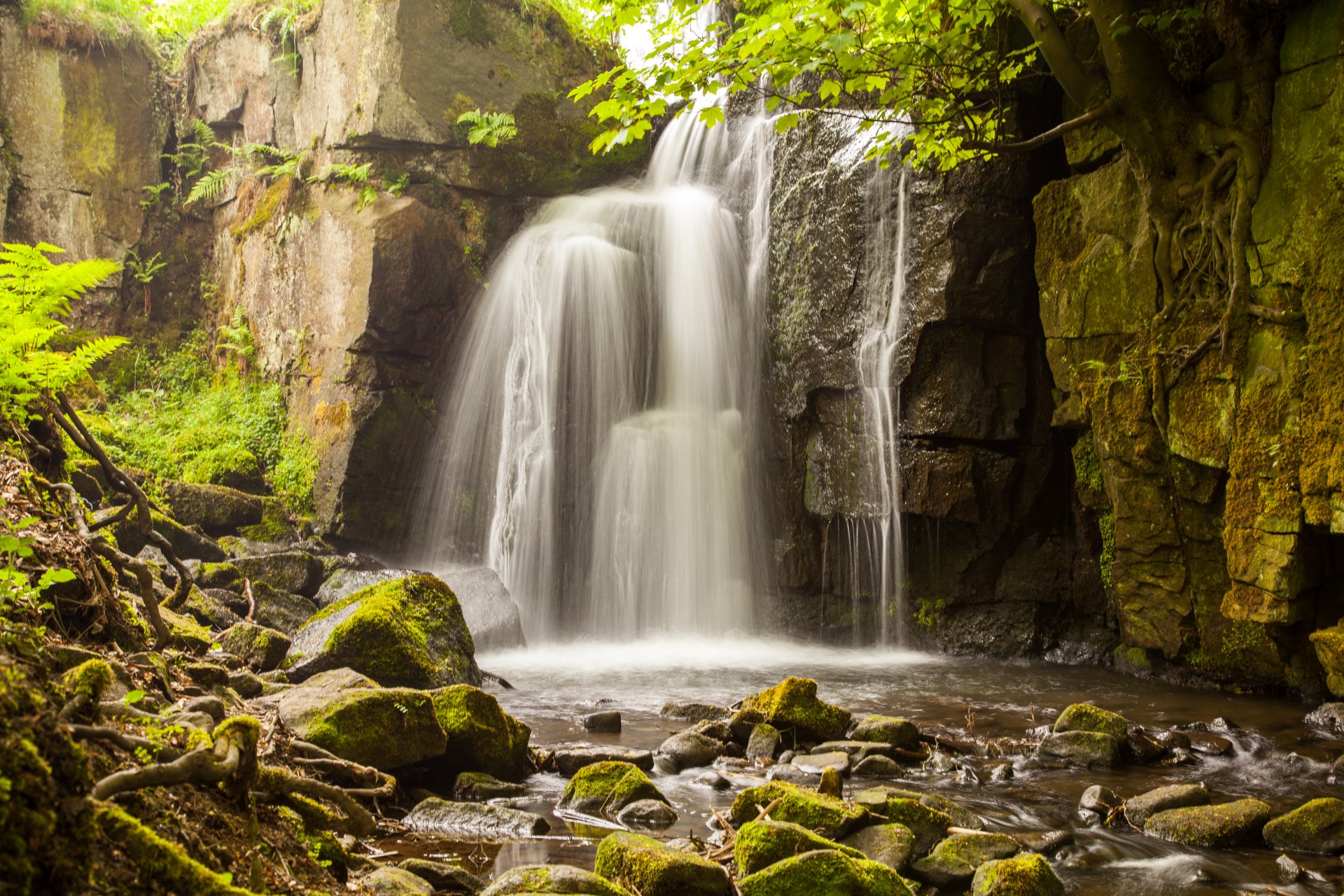 waterfall spray rock stones tree branches the roots mo