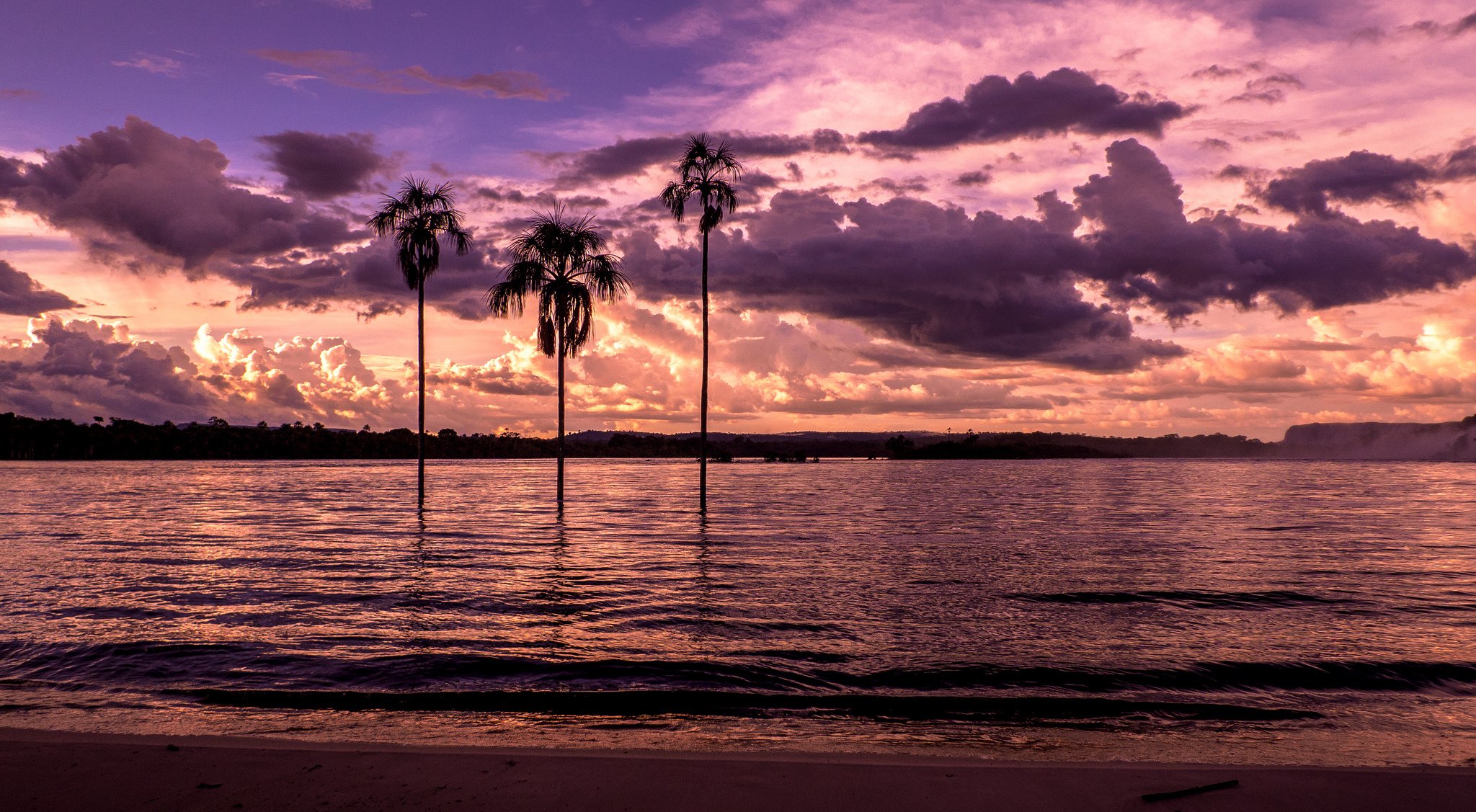 playa bahía palmeras puesta de sol