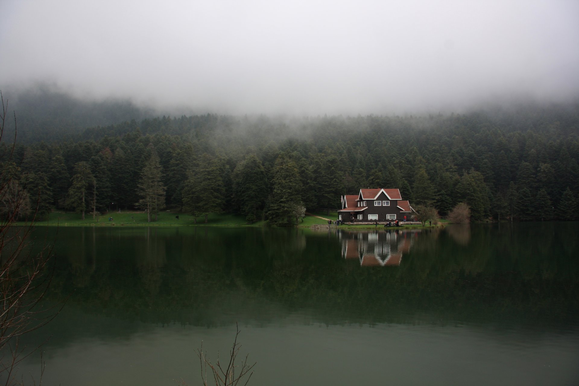 turquía bolu bosque niebla lago gelcüke