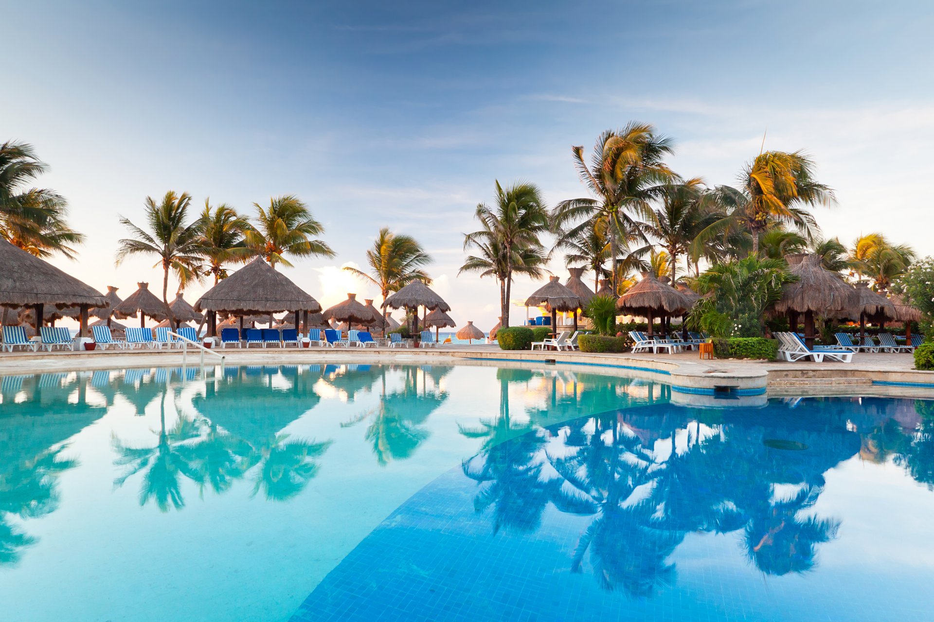 nature resort palm tree pool chairs sport