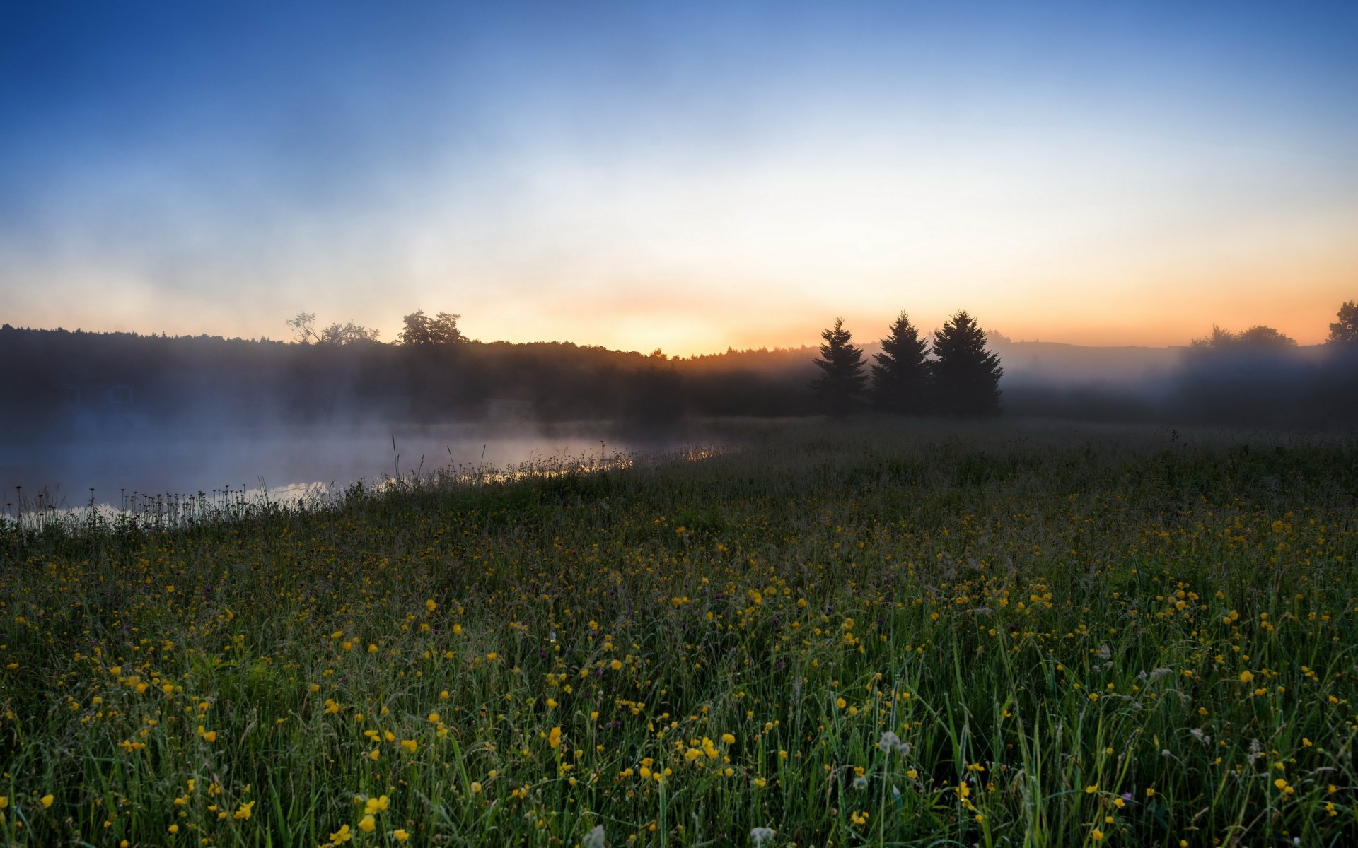 matin champ rivière brouillard paysage