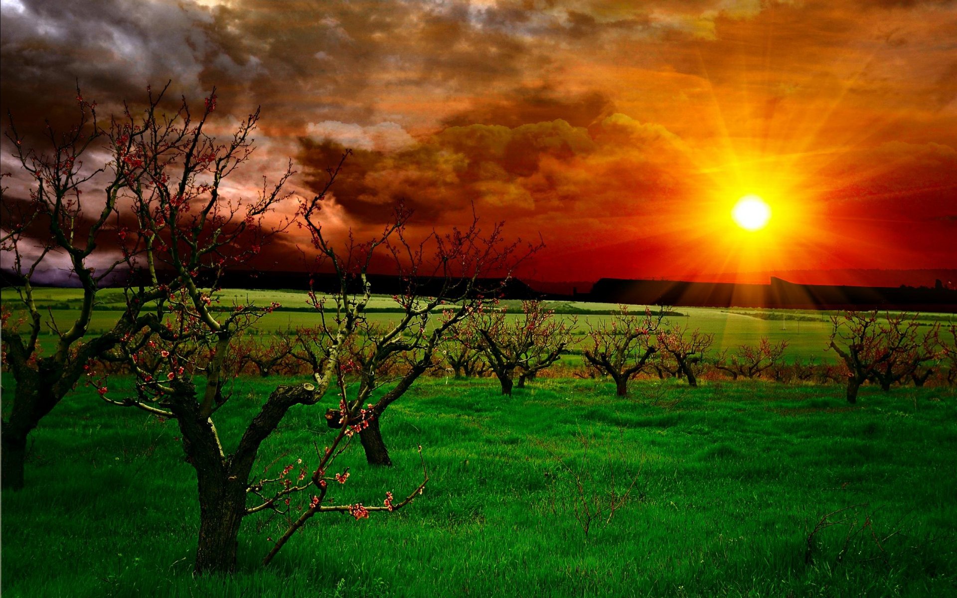 landscape nature sky clouds sunset grass trees ray