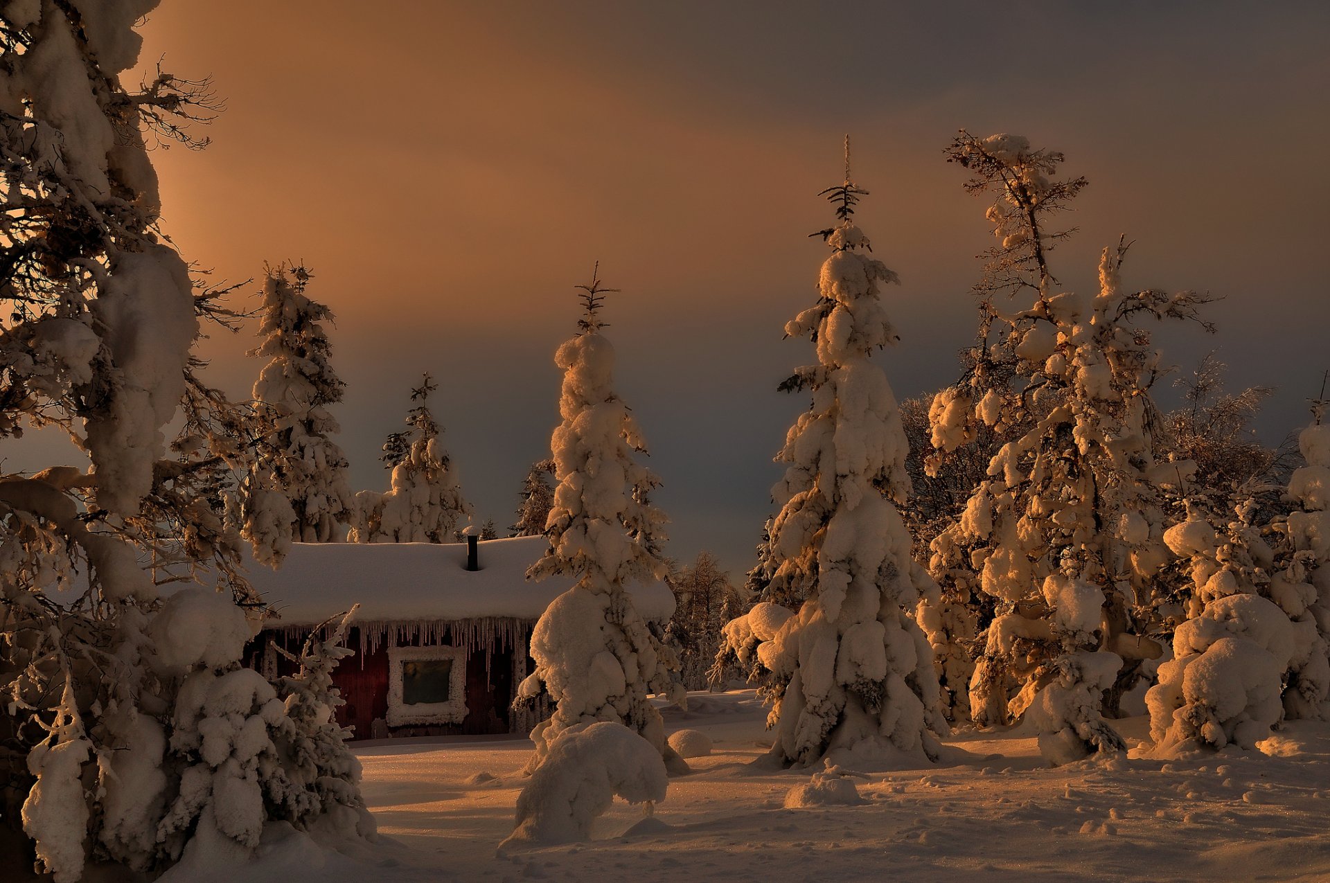 alberi alberi di natale casa neve inverno