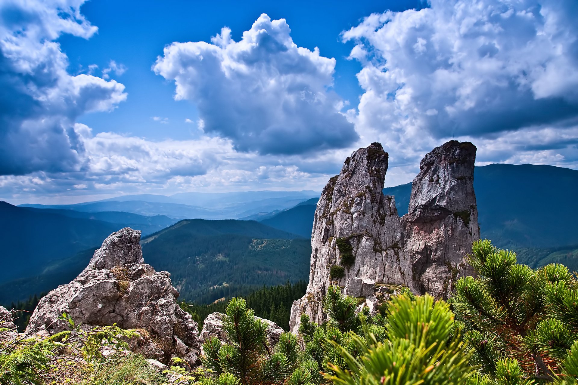 montagne rocce alberi arbusti cielo nuvole