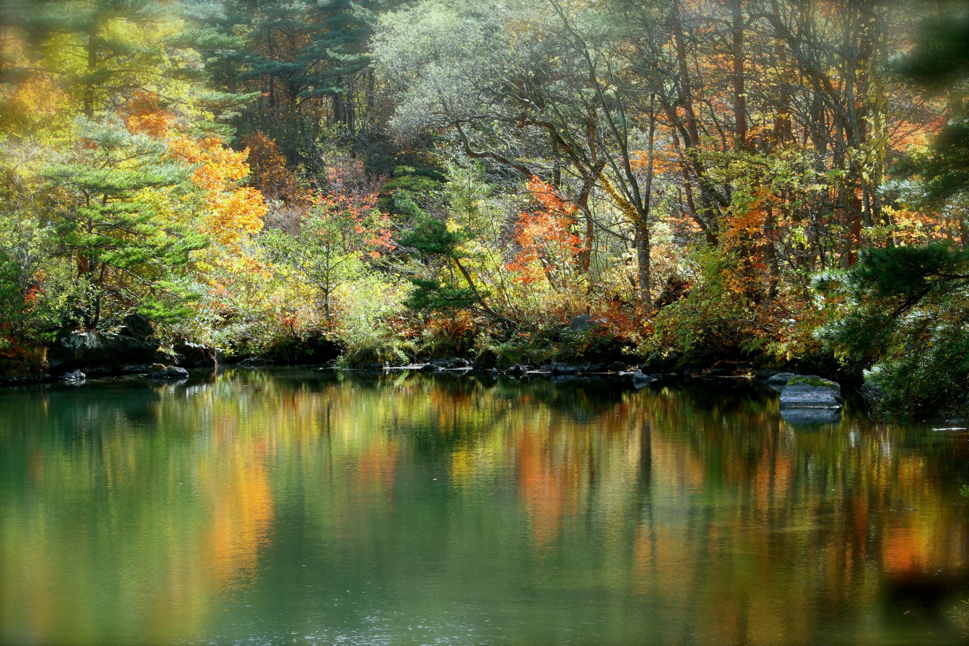 automne forêt lac réflexion