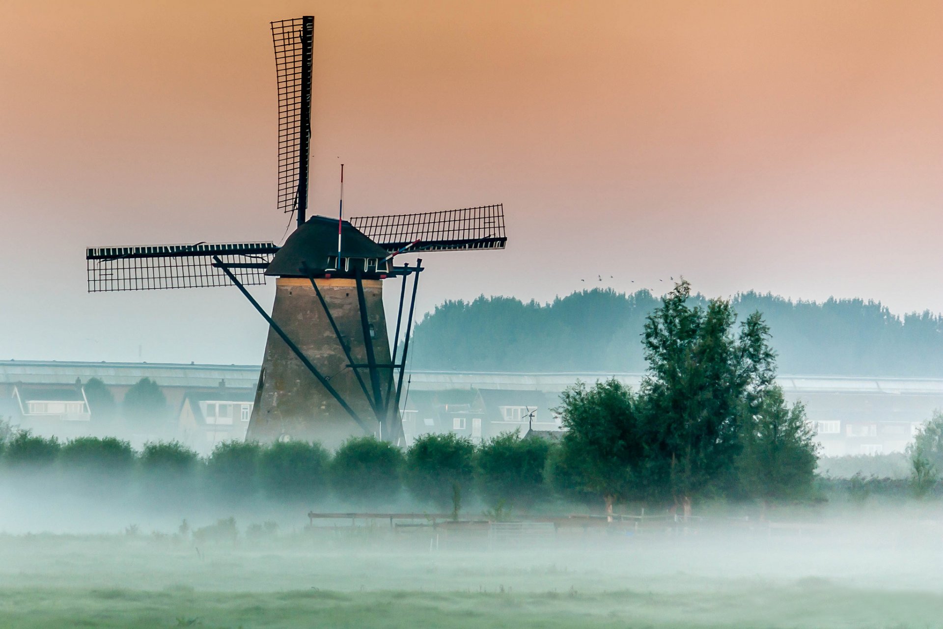 arbres moulin à vent moulin à vent brouillard matin