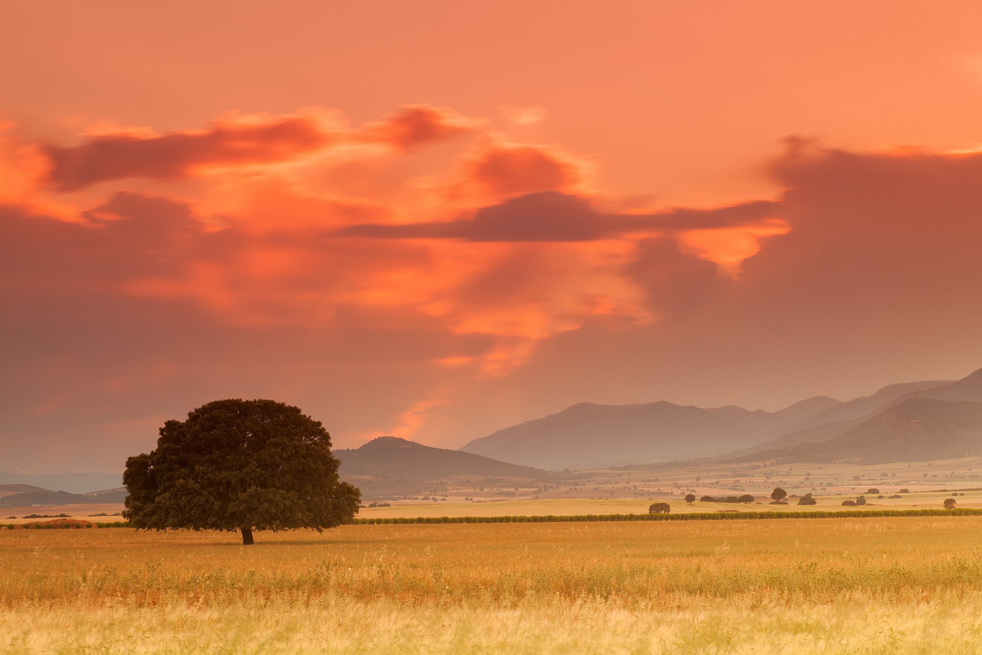 españa montañas campo árboles árbol tarde puesta del sol nubes