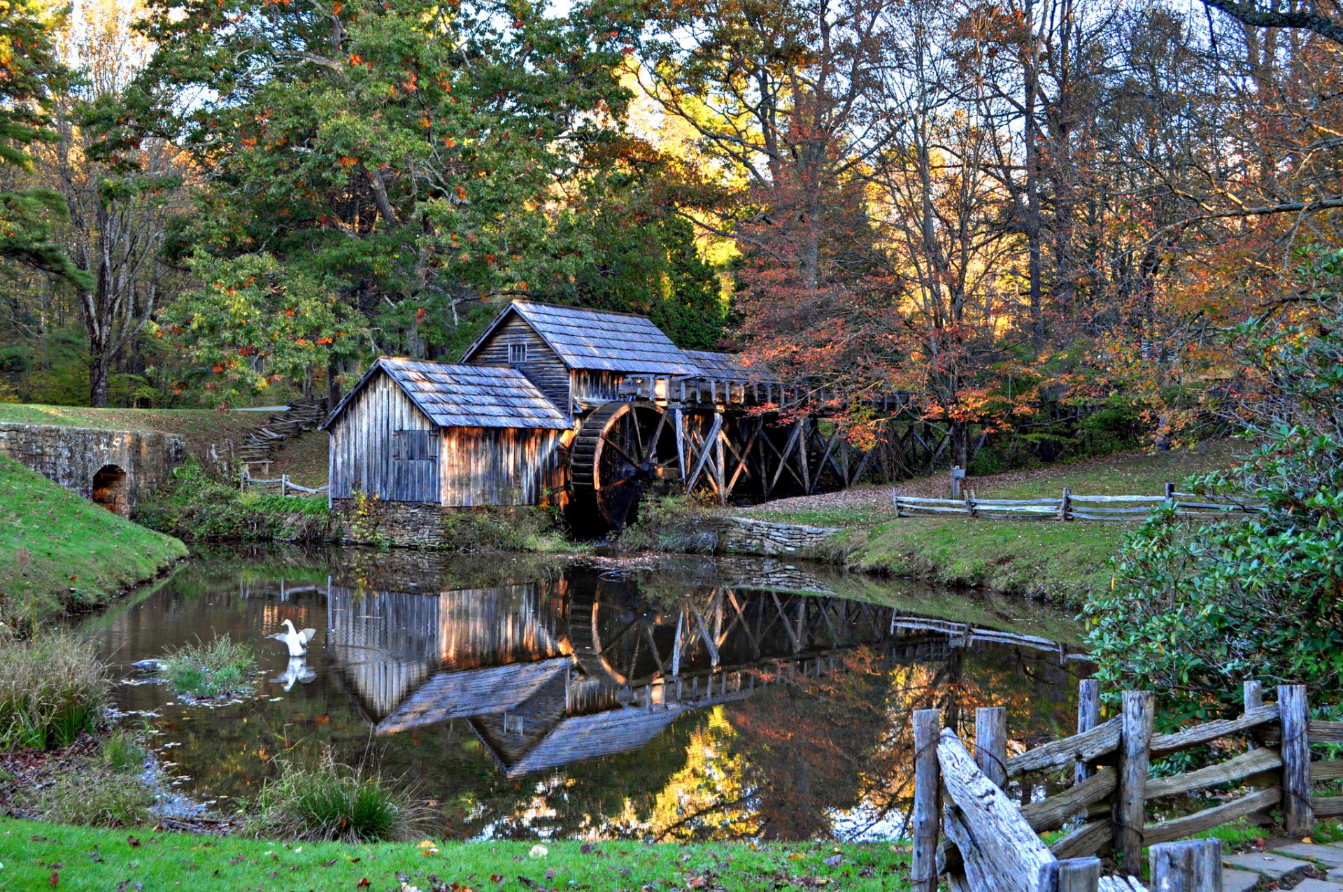 mühle wasser mabri herbst morgen