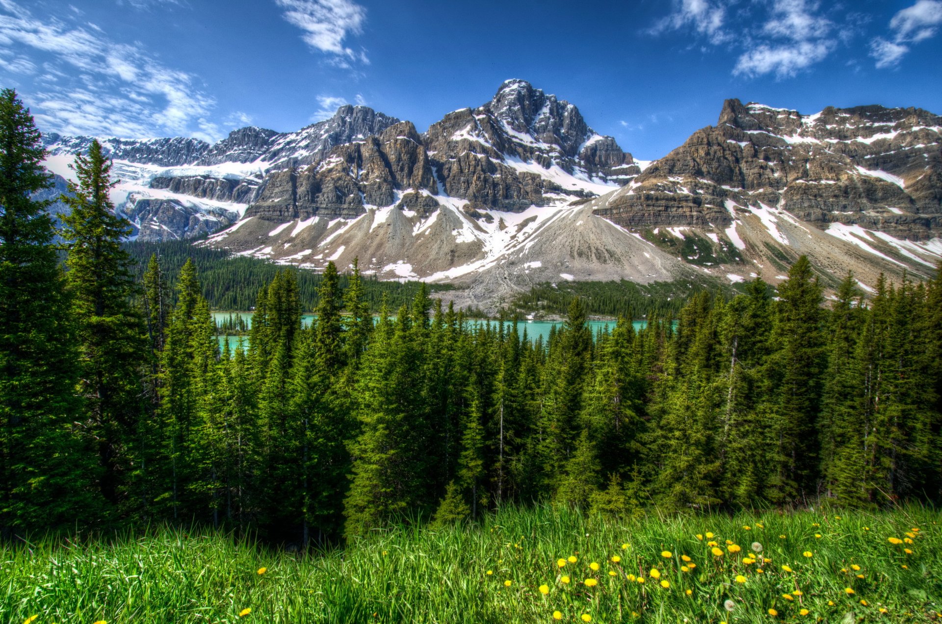 parc canada montagnes paysage forêt banff herbe arbres hdr nature