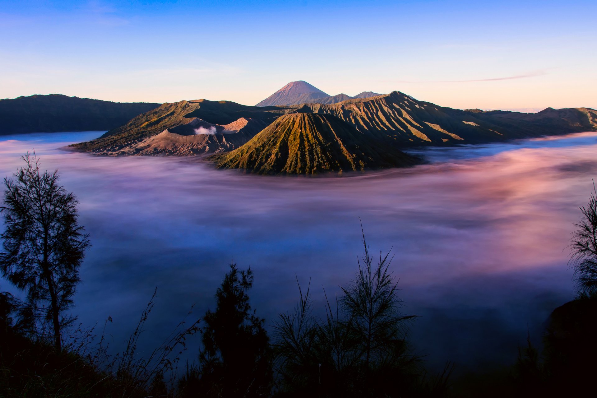 indonesia isla java complejo volcánico-caldera tengger tengger volcán bromo mañana niebla hierba siluetas