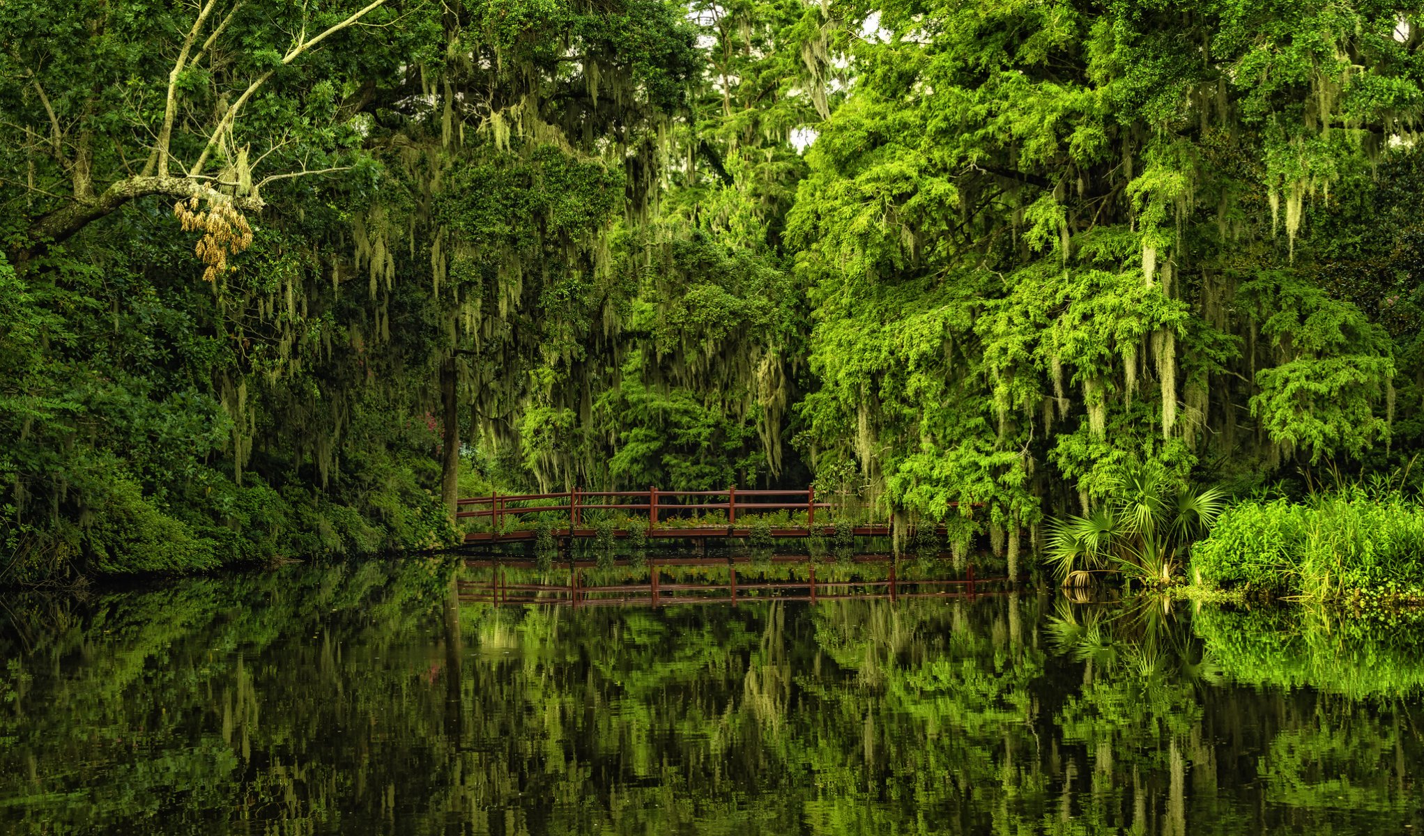 jardines de magnolia charleston carolina del sur jardines de magnolia charleston puente reflexión agua árboles