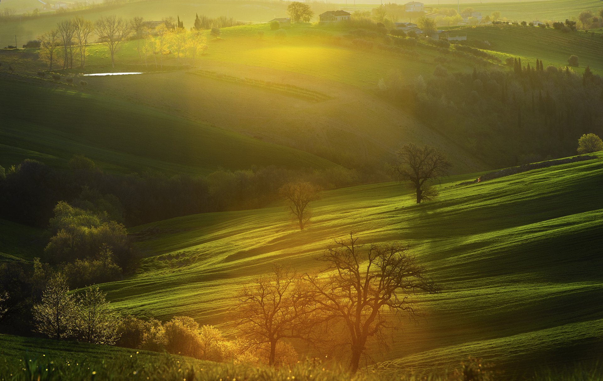 italy alba hills tree house of the field morning