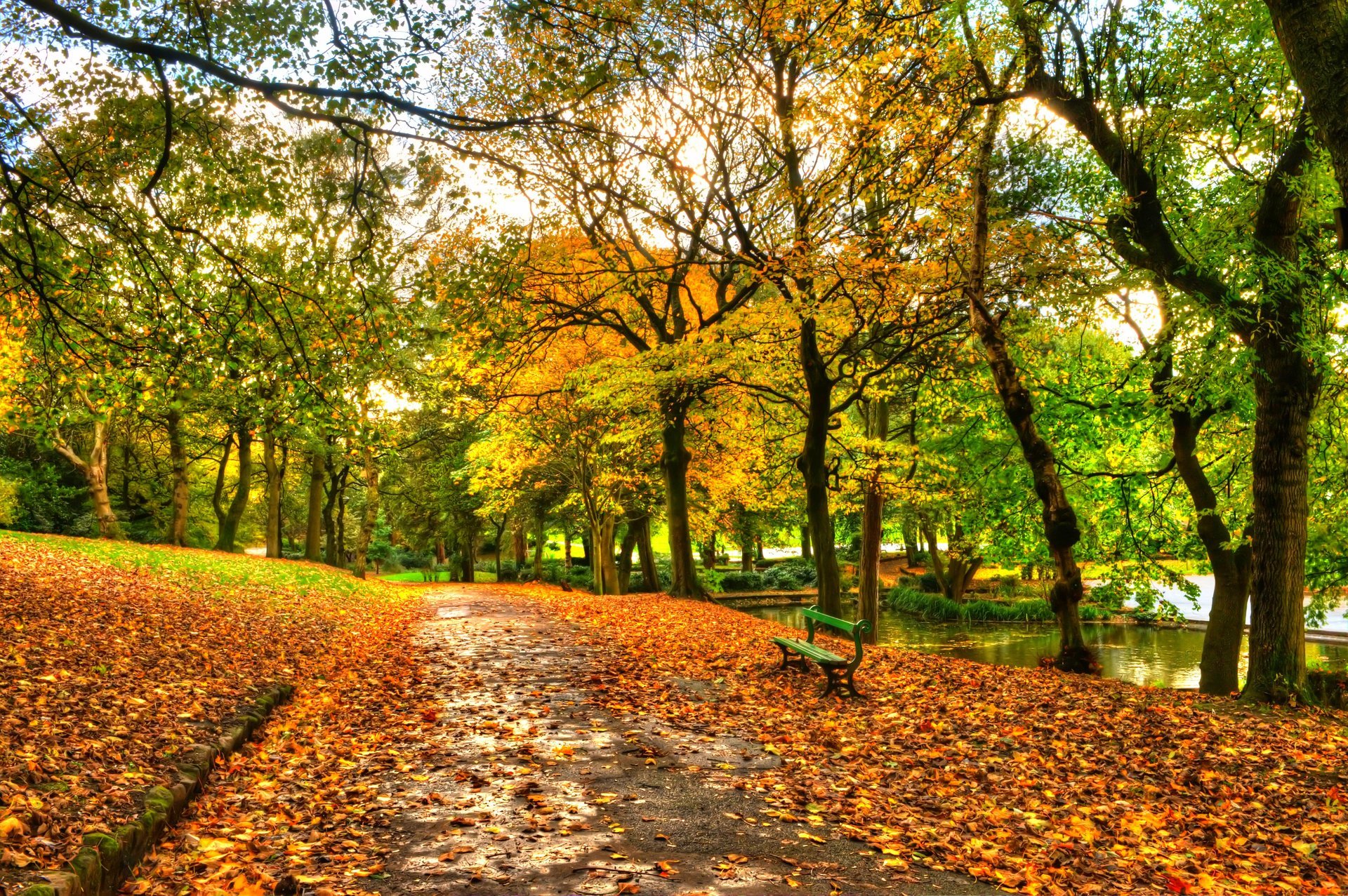 leaves park alley trees forest autumn walk hdr nature river water sky bench view fall tree view