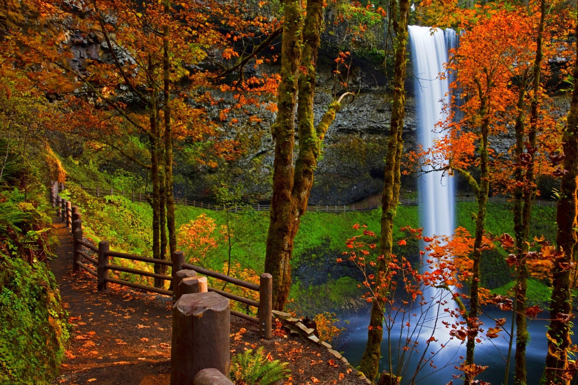 nature forêt arbres feuilles coloré route automne automne couleurs marche montagne roche eau rivière cascade montagnes roches paysage