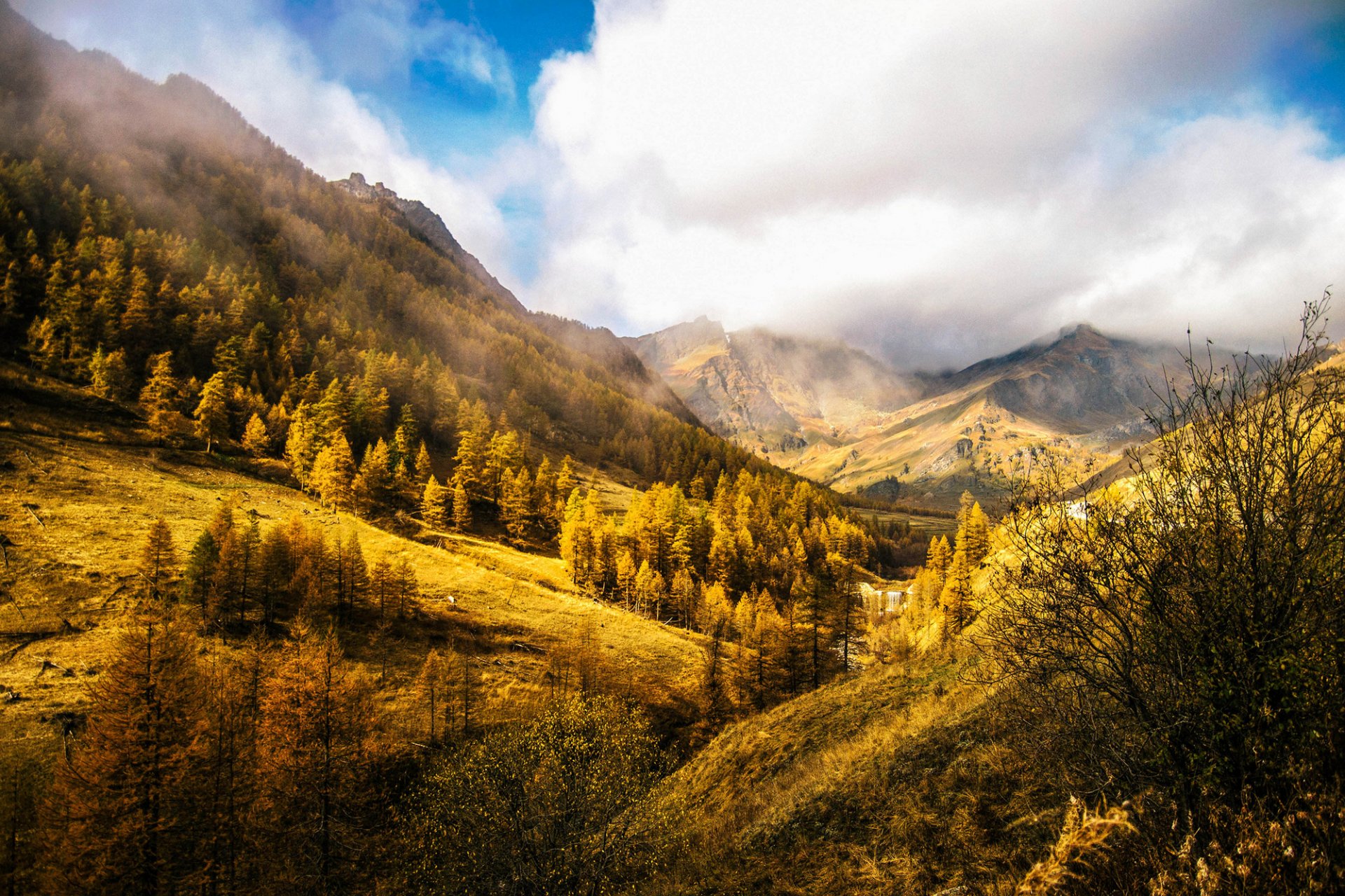 chianale piemont italia włochy góry wzgórza drzewa jesień niebo chmury natura krajobraz