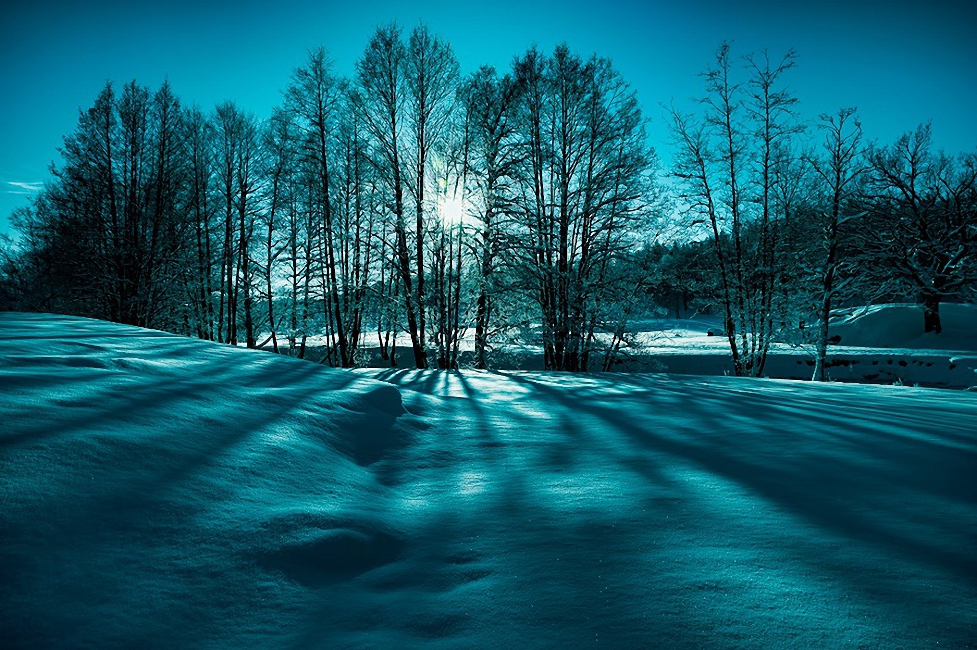 natura inverno neve alberi sole raggi