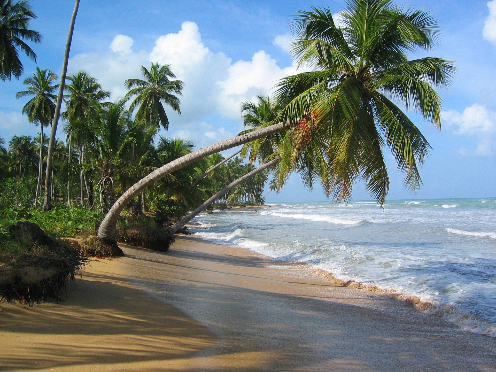 ky clouds sea ocean waves sand palma tropics beach