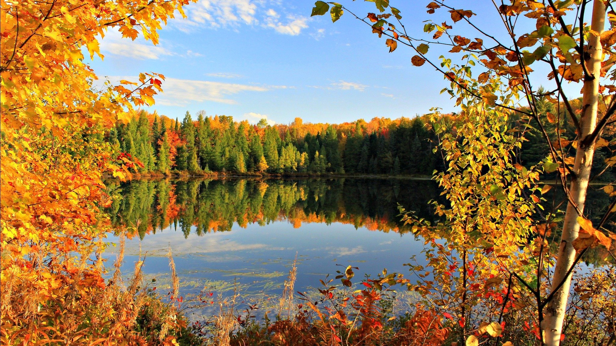 autumn golden autumn leaves sky pond lake clouds september tree