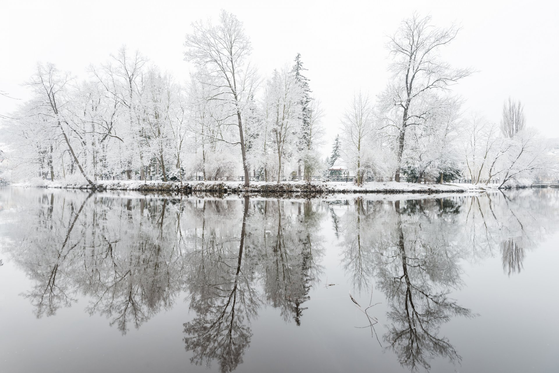 hiver parc lac arbres givre réflexion