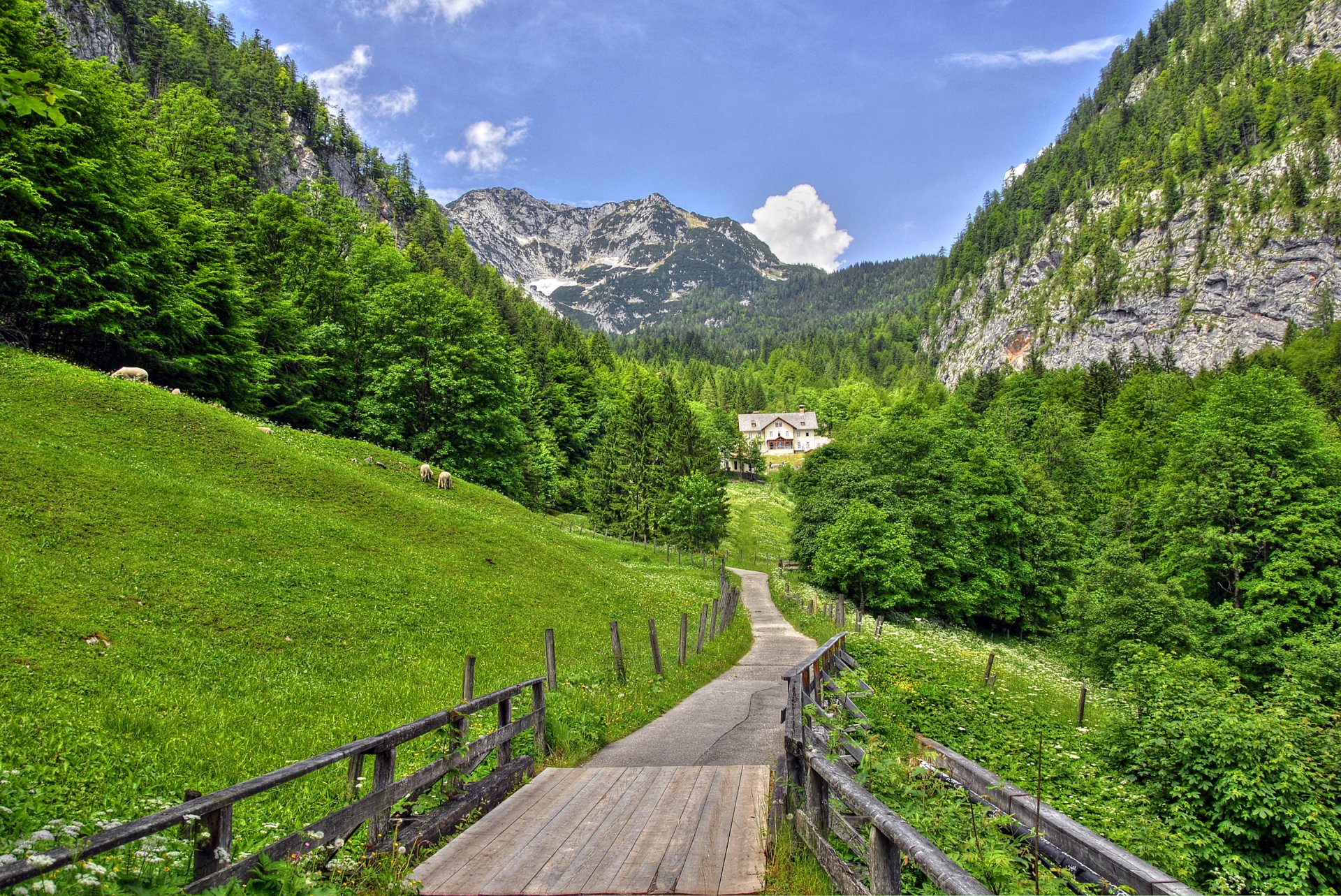 himmel wolken berge alpen bäume hang haus gras wiese brücke straße