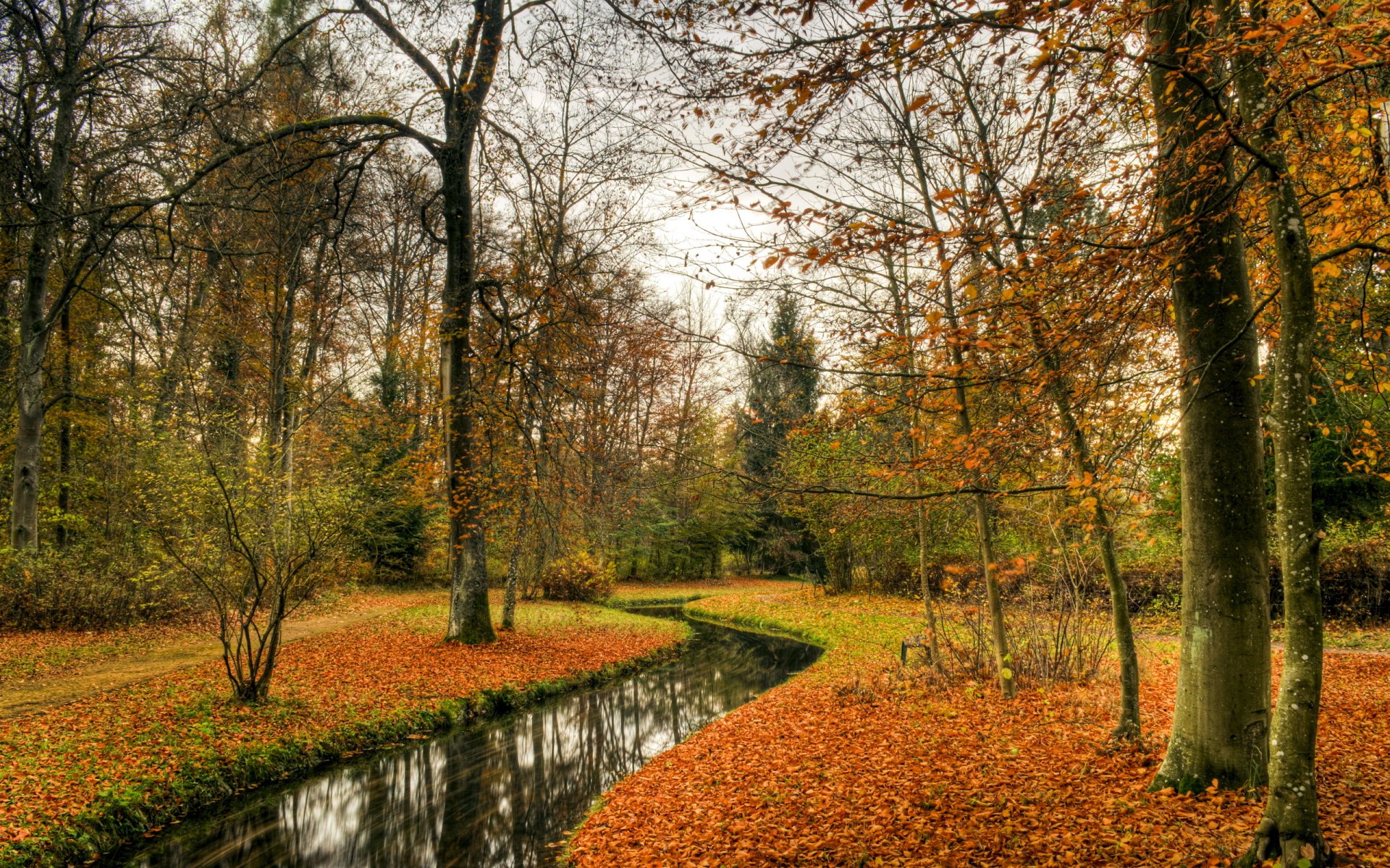 park autumn nature landscape