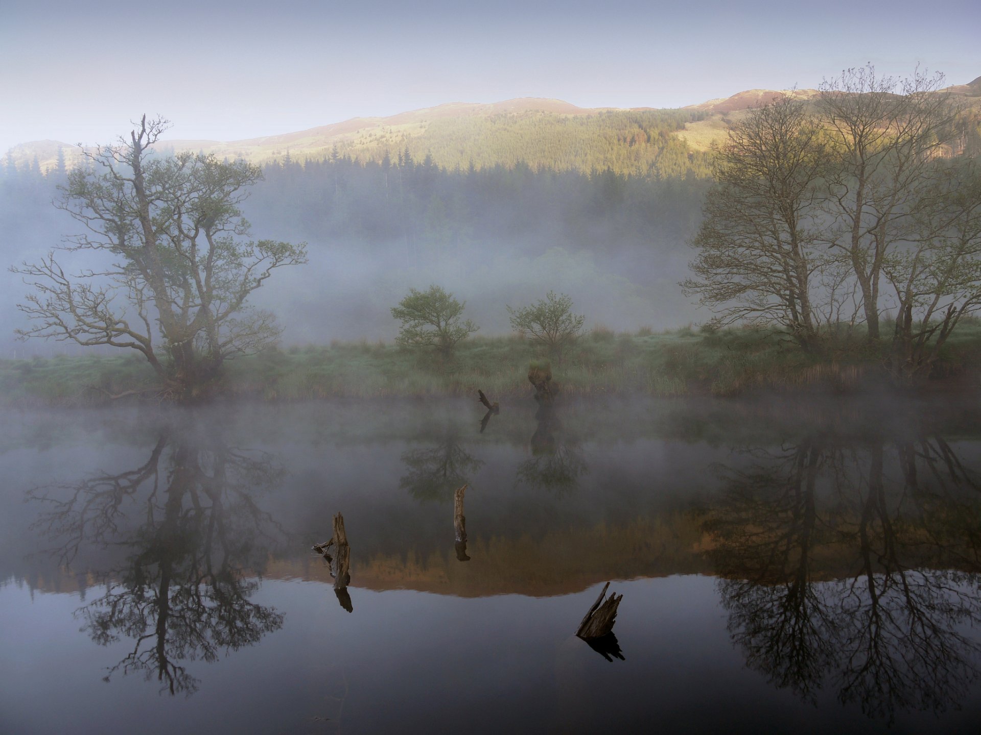 montagnes forêt lac brouillard