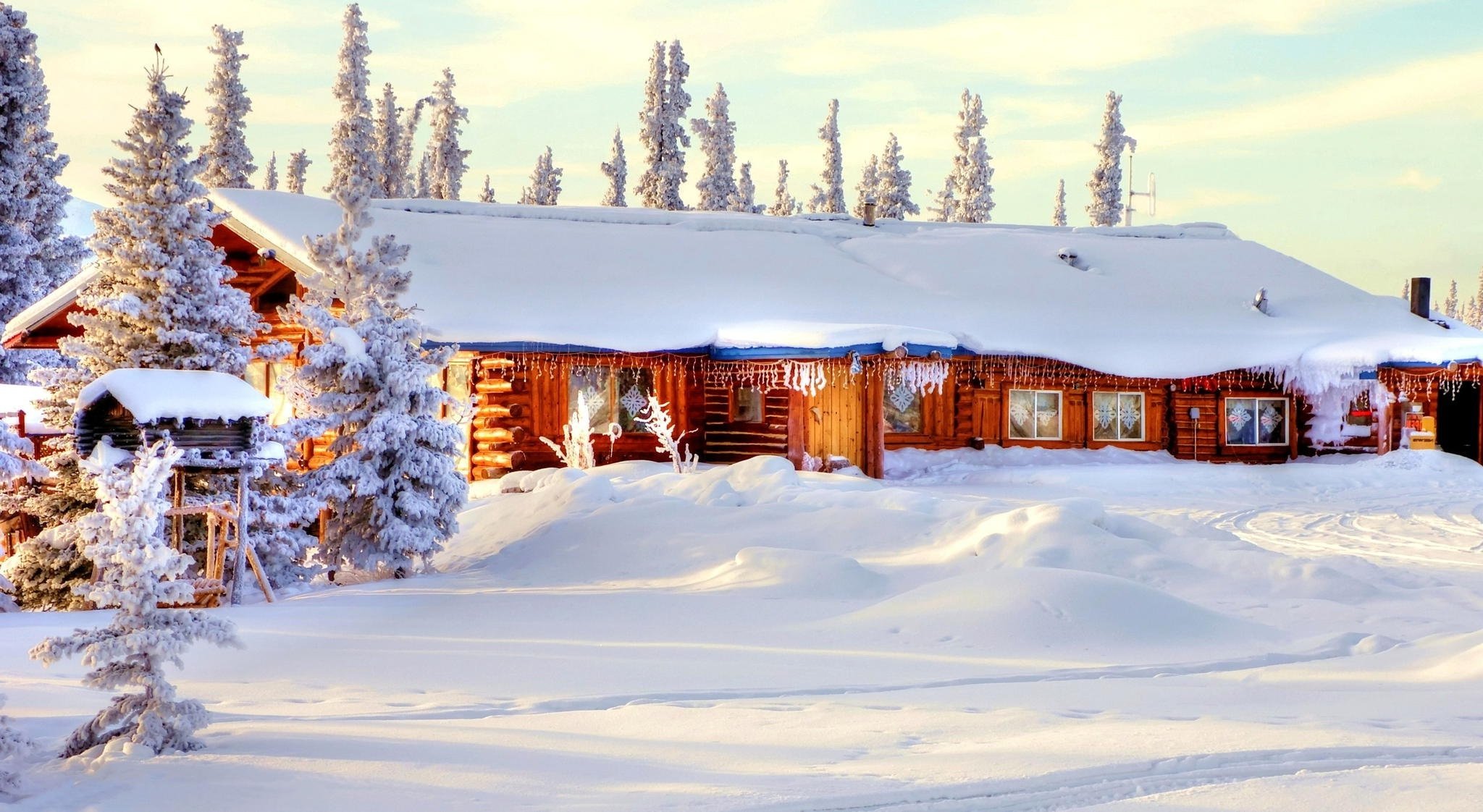 winter snow house tree nature forest sky