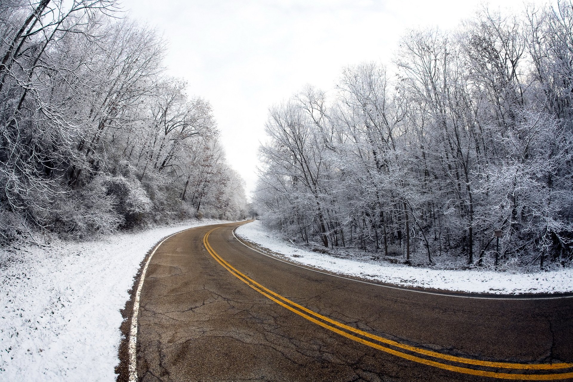 straße winter bäume landschaft