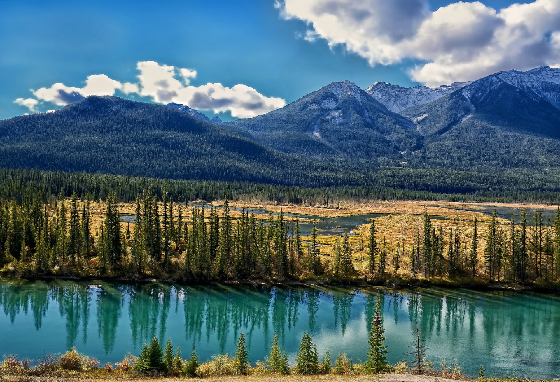 bow river альберта канада река боу горы долина деревья