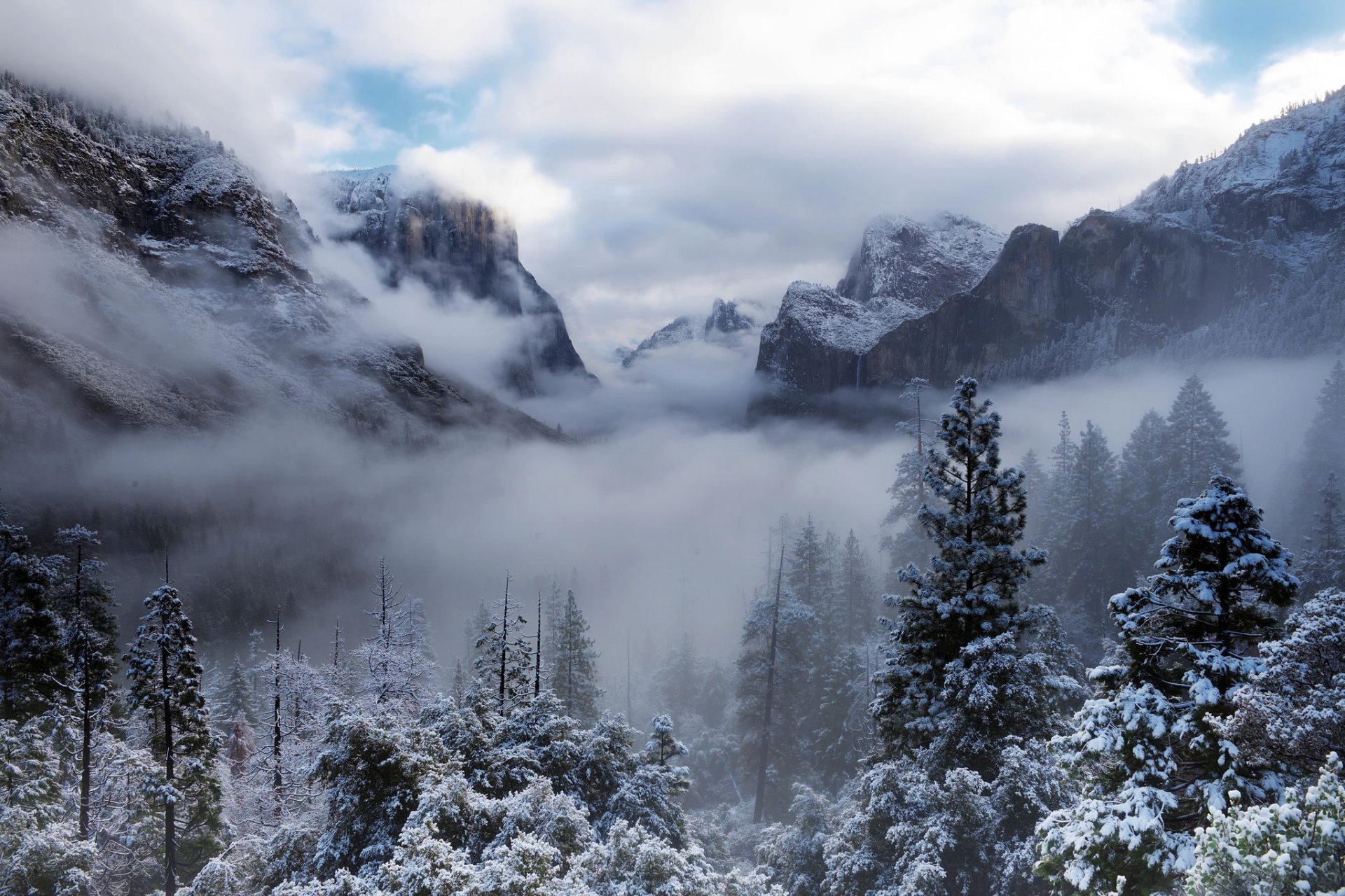 yosemite national park usa kalifornien yosemite bäume berge wald winter schnee wolken nebel natur