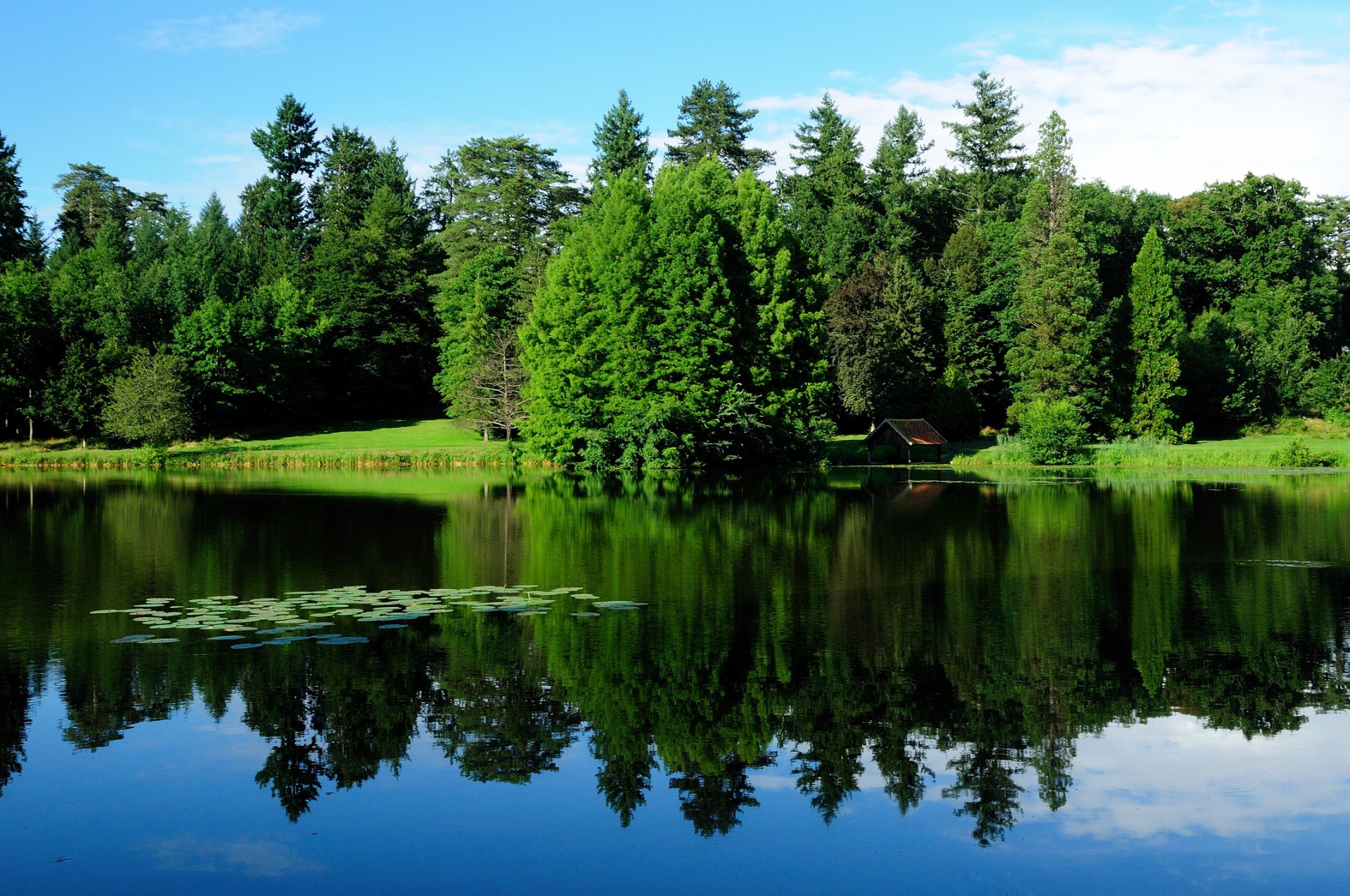 borgoña francia paisaje naturaleza árboles vegetación lago agua reflexión