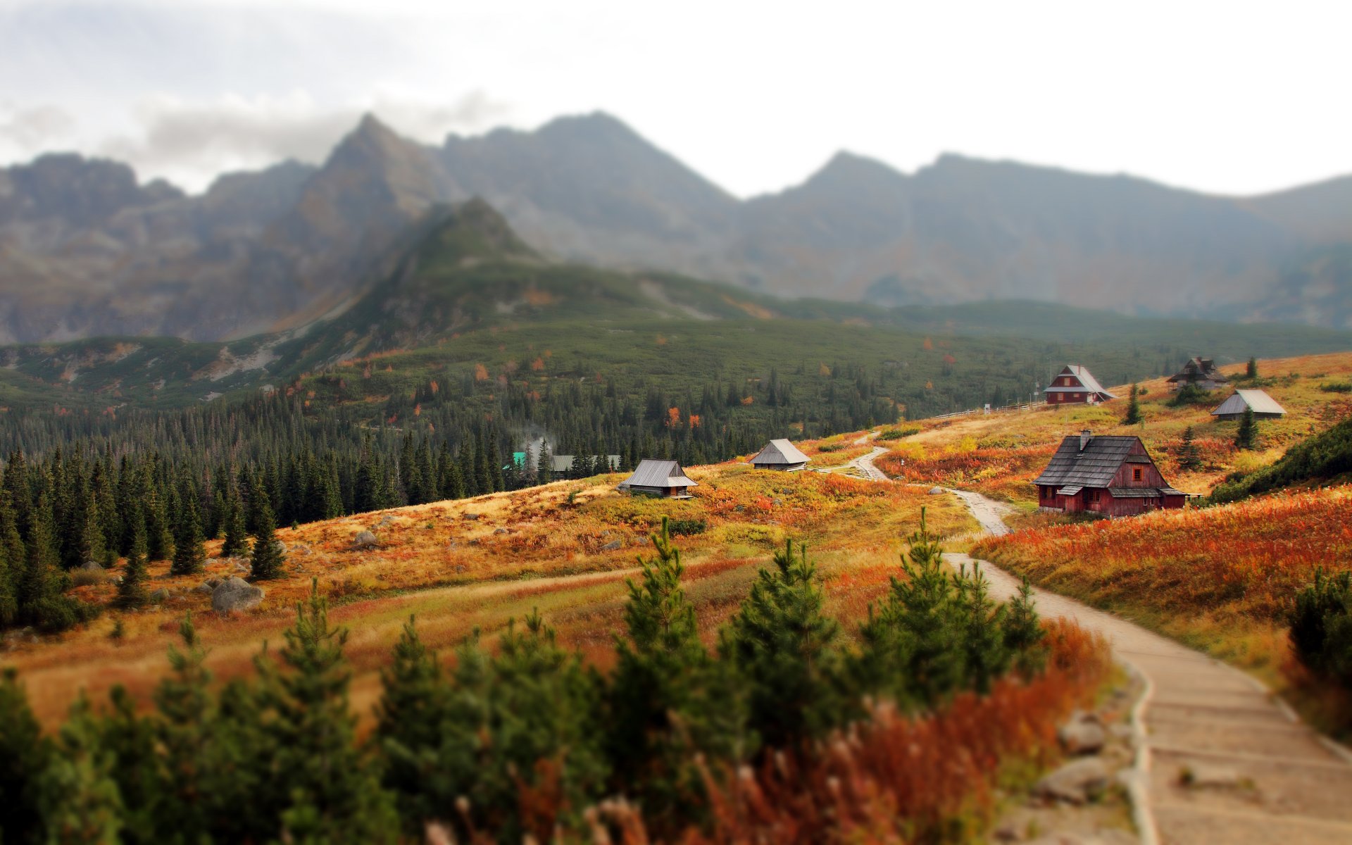 eslovaquia cárpatos tatras república eslovaca cárpatos occidentales