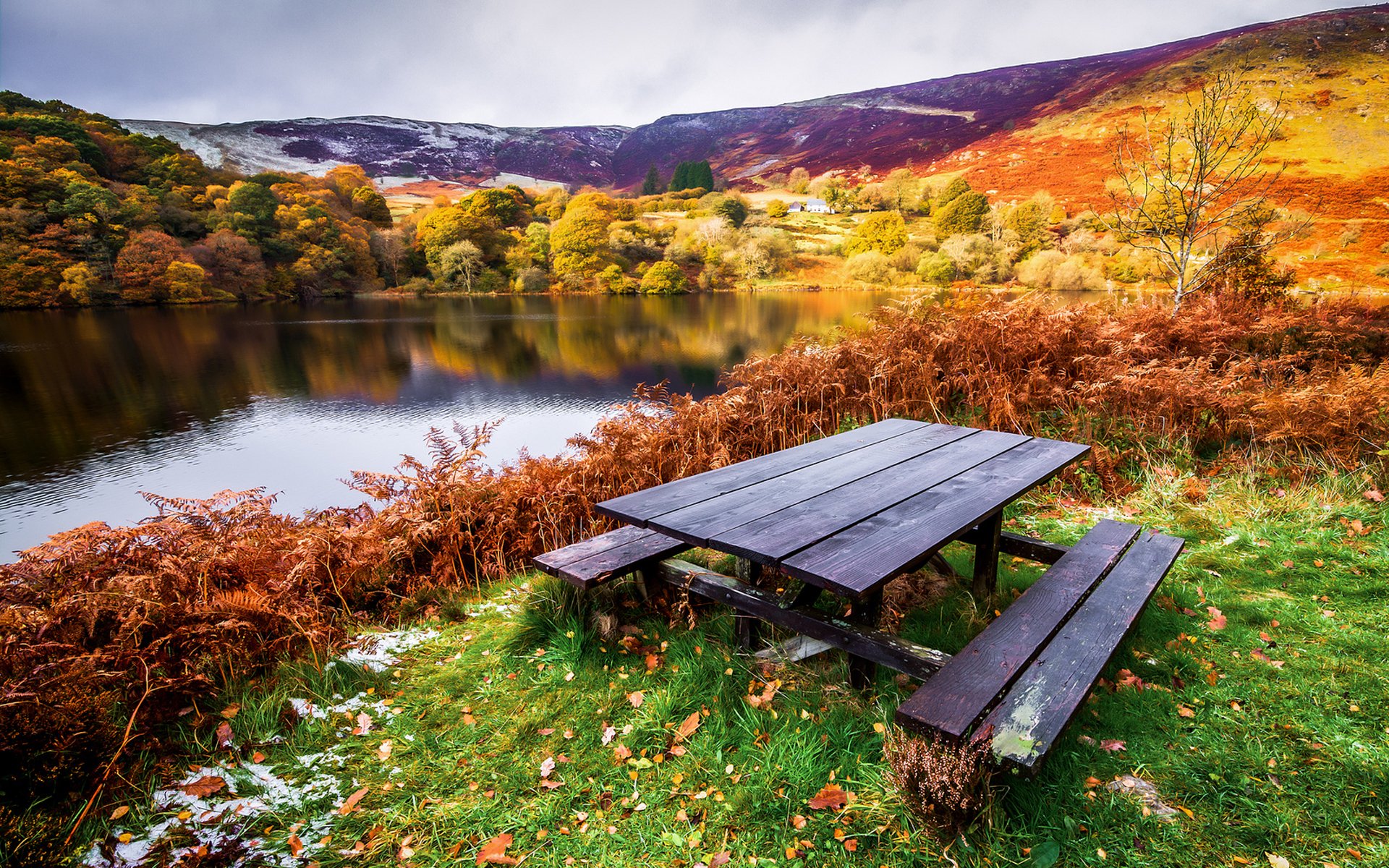 paesaggio autunno fiume riva alberi tavolo panchine erba foglie