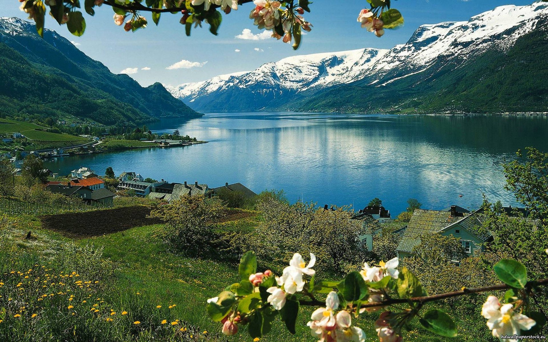 ciel lac montagnes maison fleurs neige herbe printemps