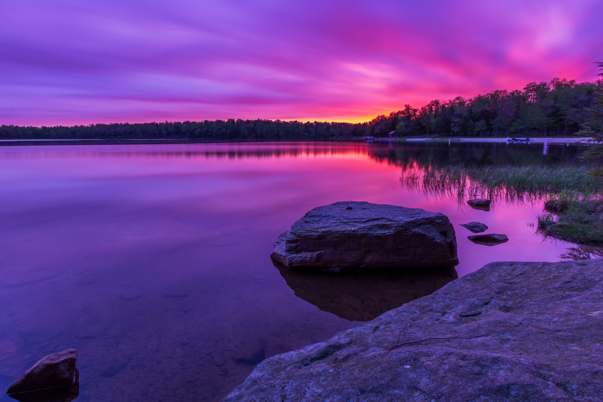 forêt lac pierres aube lilas