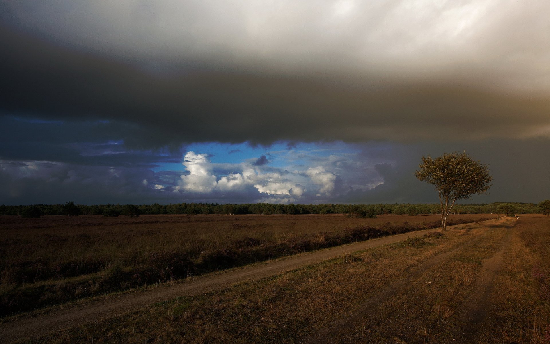 champs route arbre nuages