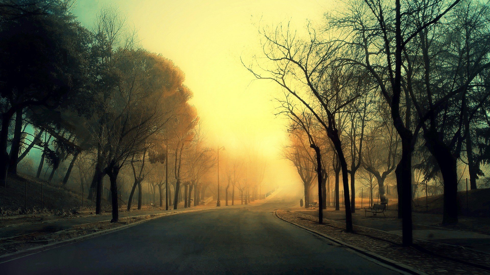 camino callejón árboles niebla