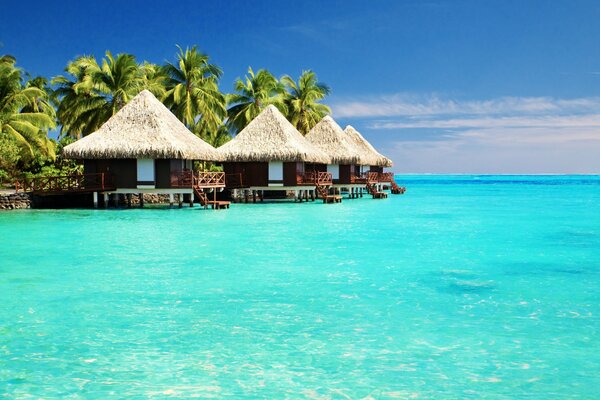 Casas en la costa del océano azul bajo las palmeras