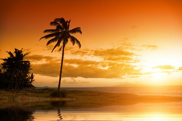 Tropical Hawaii landscape, nature, clouds