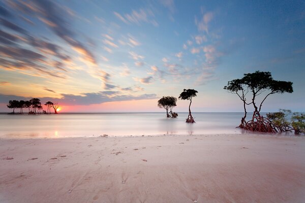 Plage mit rosa Sand und Sonnenuntergang