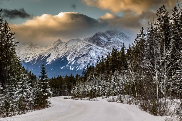 Широкая зимняя дорога бежит среди высоких елей к высоким горам