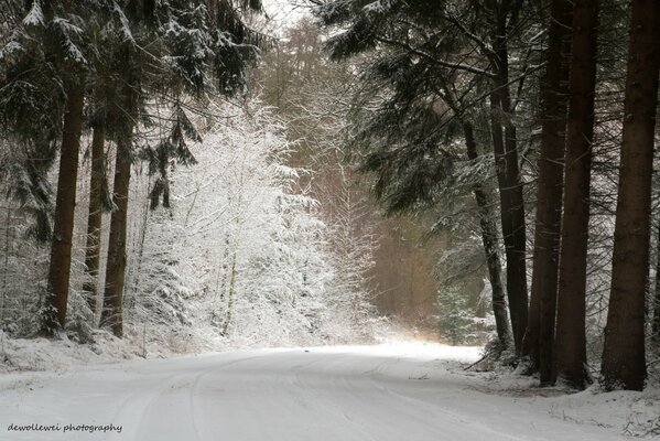 Winter snow-covered road in the forest