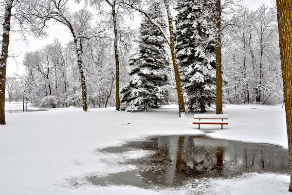 Surface miroir dans le parc